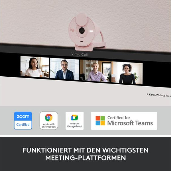 Logitech Webcam Brio 300 Rose