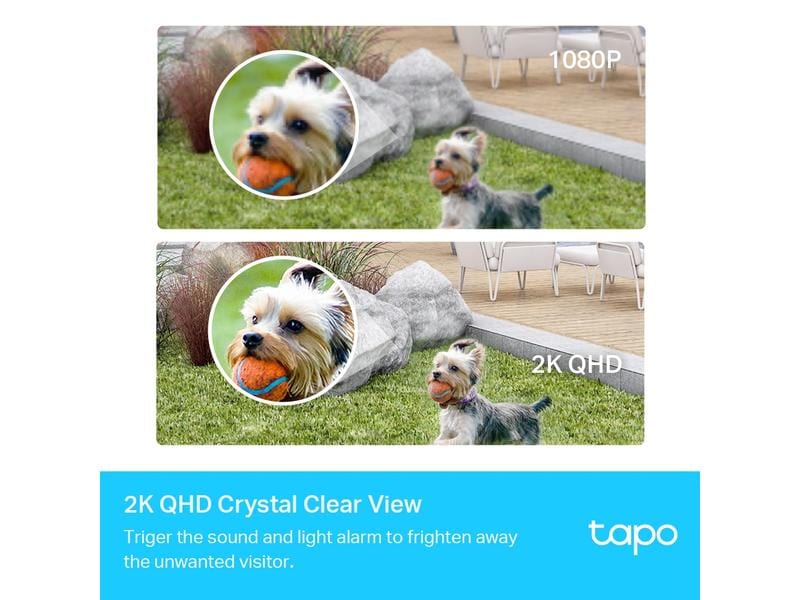 TP-Link Netzwerkkamera Tapo C420S2 Set 2×Tapo C420 + 1×Tapo H200