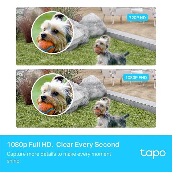 TP-Link Überwachungsset Tapo C400S2