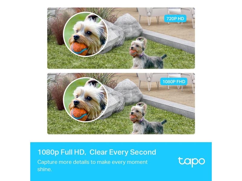 TP-Link Überwachungsset Tapo C400S2