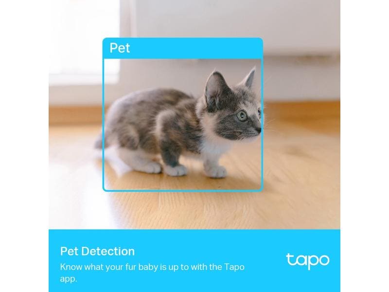 TP-Link Netzwerkkamera Tapo C225