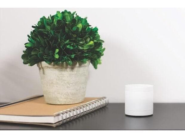 SOMFY Bewegungsmelder ONE+ Weiss