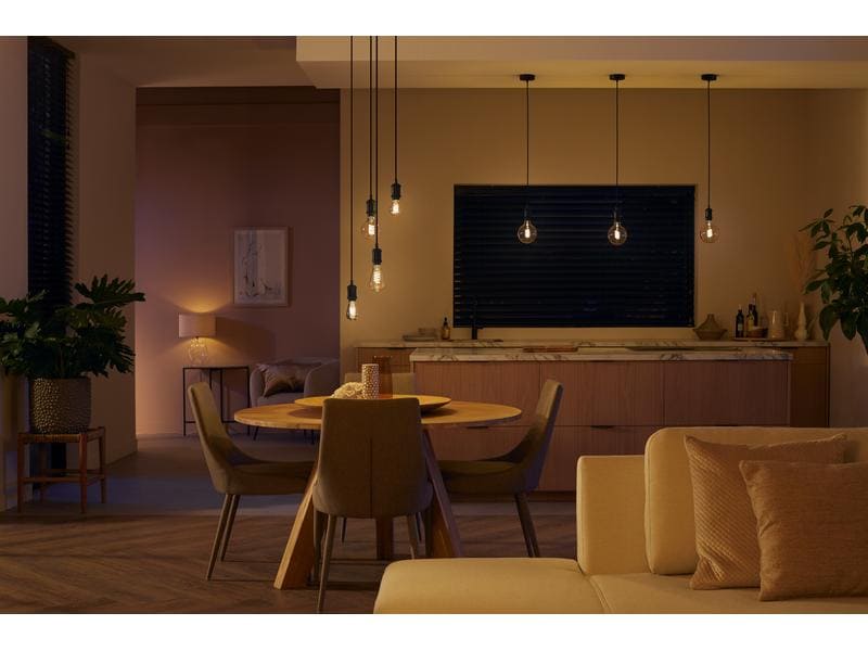 Philips Hue White E27 Einzelpack Giant Globe Filament 550 lm