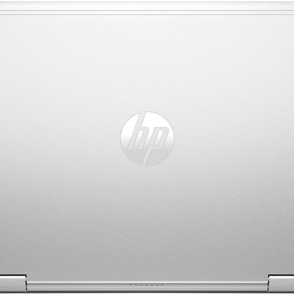 HP Pro x360 435 G10 A38GVET