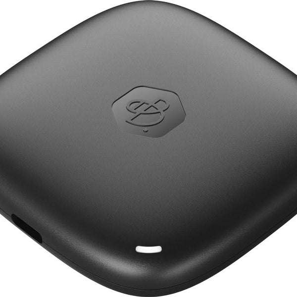 Synology Externe SSD BeeDrive 1000 GB