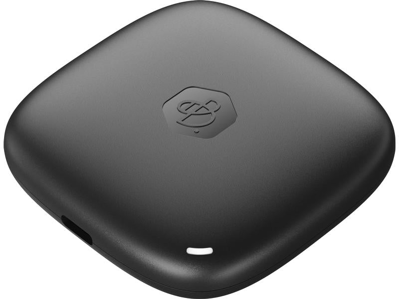 Synology Externe SSD BeeDrive 1000 GB