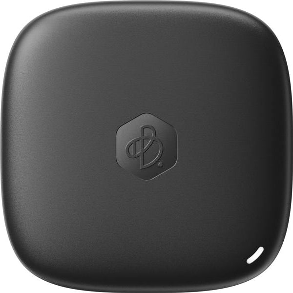 Synology Externe SSD BeeDrive 1000 GB