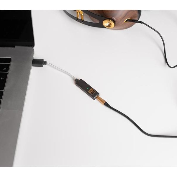 iFi Audio Kopfhörerverstärker & USB-DAC GO-Link