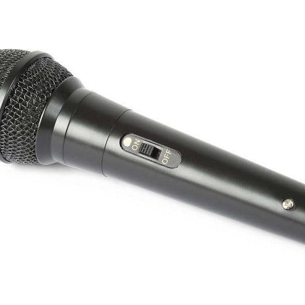 Fenton Mikrofon DM100B