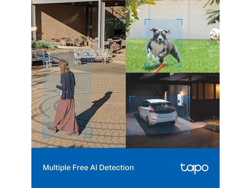 TP-Link Netzwerkkamera Tapo C520WS