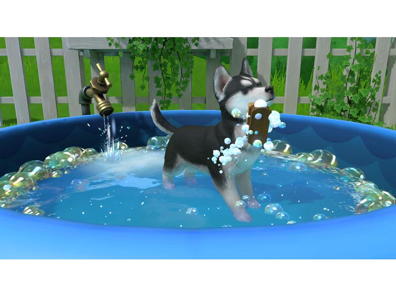 GAME Little Friends: Puppy Island