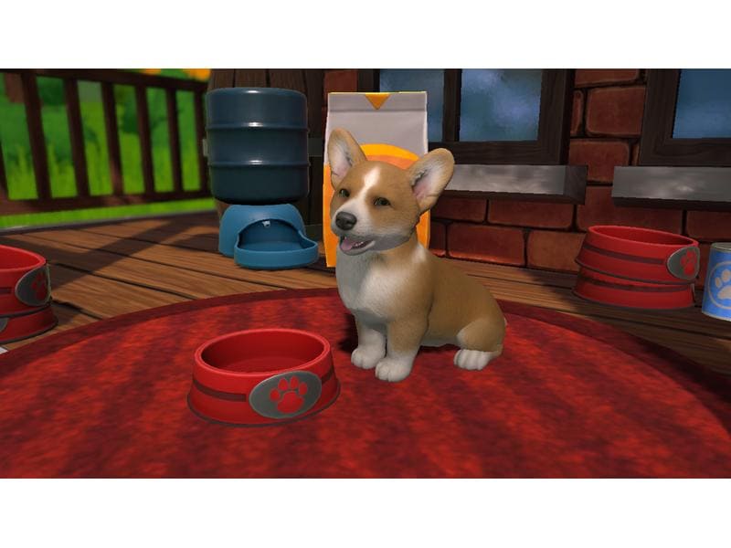 GAME Little Friends: Puppy Island