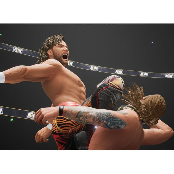 THQ AEW: Fight Forever