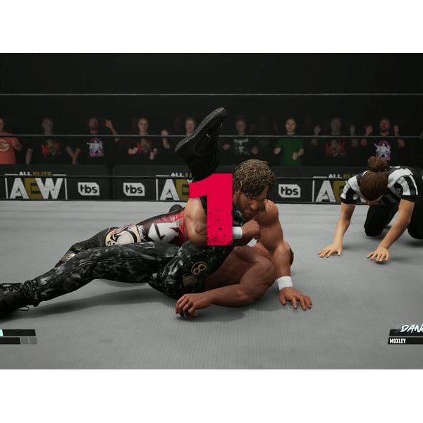 THQ AEW: Fight Forever