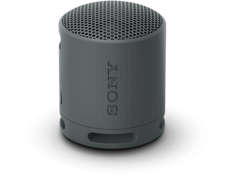 Sony Bluetooth Speaker SRS-XB100 Schwarz