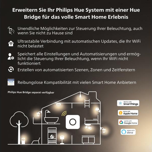 Philips Hue White E27 Einzelpack Giant Globe Filament 550 lm