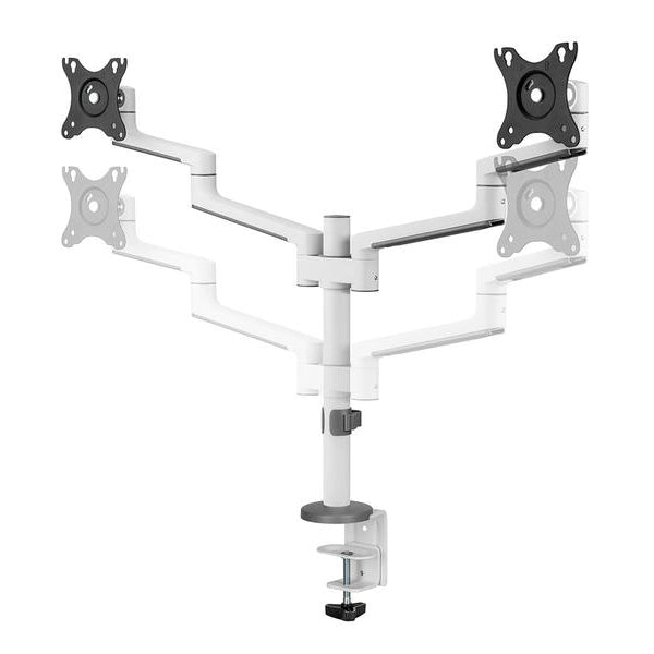 NEOMOUNTS Tischhalterung DS60-425WH2 bis 8 kg – Weiss