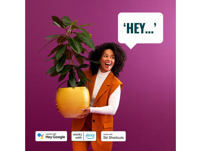 WiZ Leuchtmittel 4.9W (40W) E14 C37 Tunable White Doppelpack