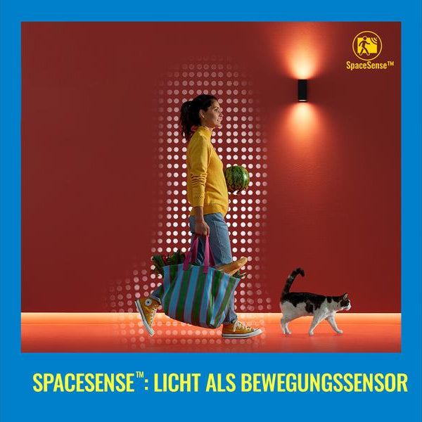 WiZ Leuchtmittel 11W (75W) E27 G95 RGB FR Einzelpack