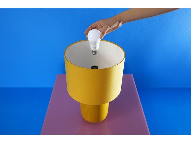 WiZ Leuchtmittel 18.5W(150W) E27 A80 Tunable White&amp;Color