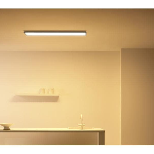 Philips Hue White & Color Ambiance Outdoor Resonate Wandl. Schwarz