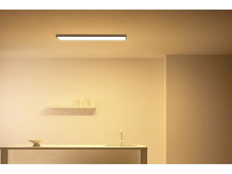 Philips Hue White &amp; Color Ambiance Outdoor Resonate Wandl. Schwarz