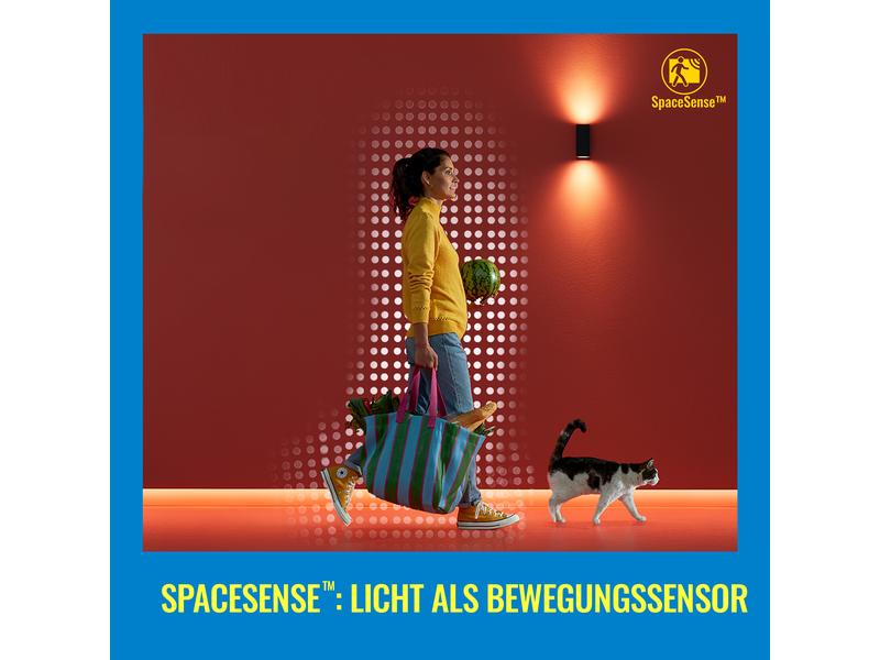 WiZ Bar Linear Light Tischleuchte Tunable White &amp; Color