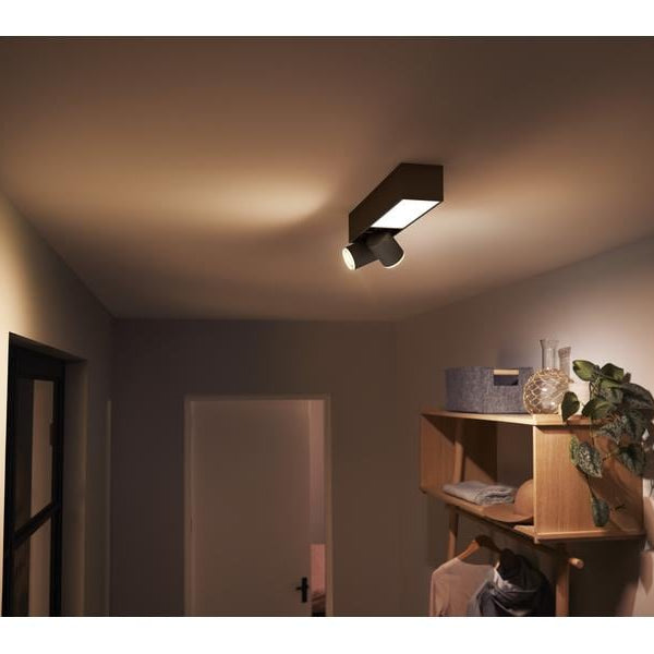 Philips Hue White & Color Ambiance Centris 2-Deckenspot Schwarz