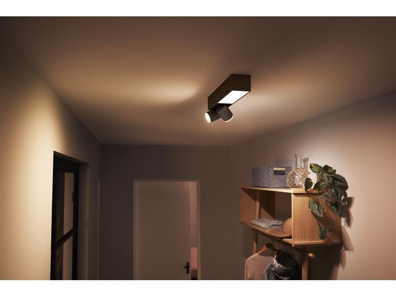 Philips Hue White & Color Ambiance Centris 2-Deckenspot Schwarz