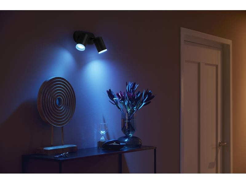 Philips Hue White & Color Ambiance Fugato 2er-Spot Schwarz