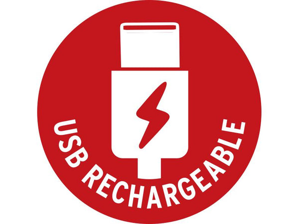 Brennenstuhl Handleuchte LED AKku LuxPremium TL 210 AF