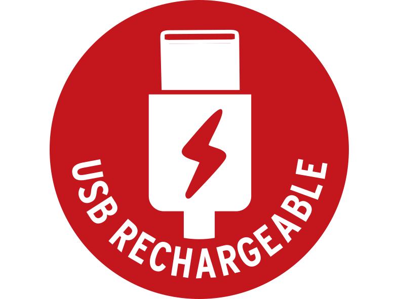 Brennenstuhl Handleuchte LED AKku LuxPremium TL 210 AF