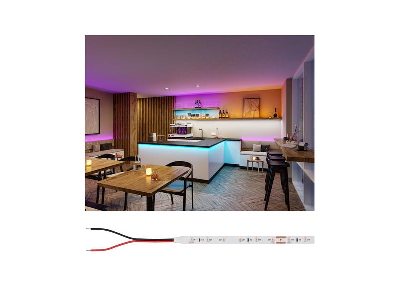 Paulmann Pro LED Strip Silver P25 5m 20W 60 lm/m 60LEDs/m