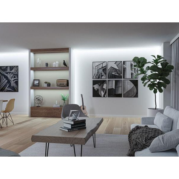 Paulmann Pro LED Strip Silver P150 865 5m 50W 160LEDs/m 6500K