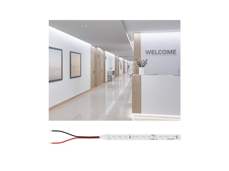 Paulmann Pro Strip Gold P175 965