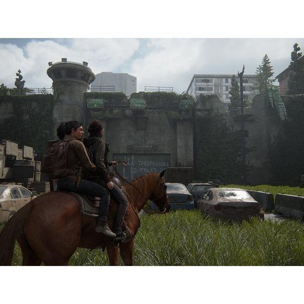 Sony The Last of Us Part II