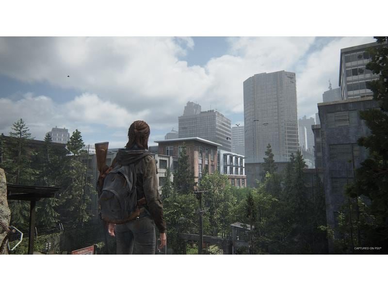 Sony The Last of Us Part II