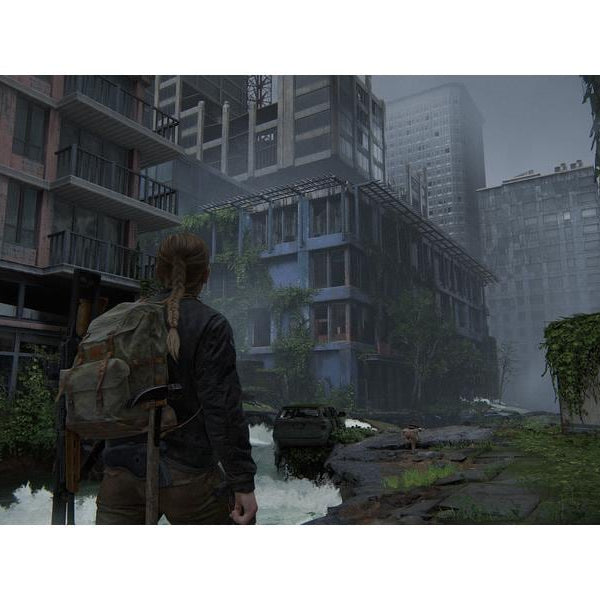 Sony The Last of Us Part II