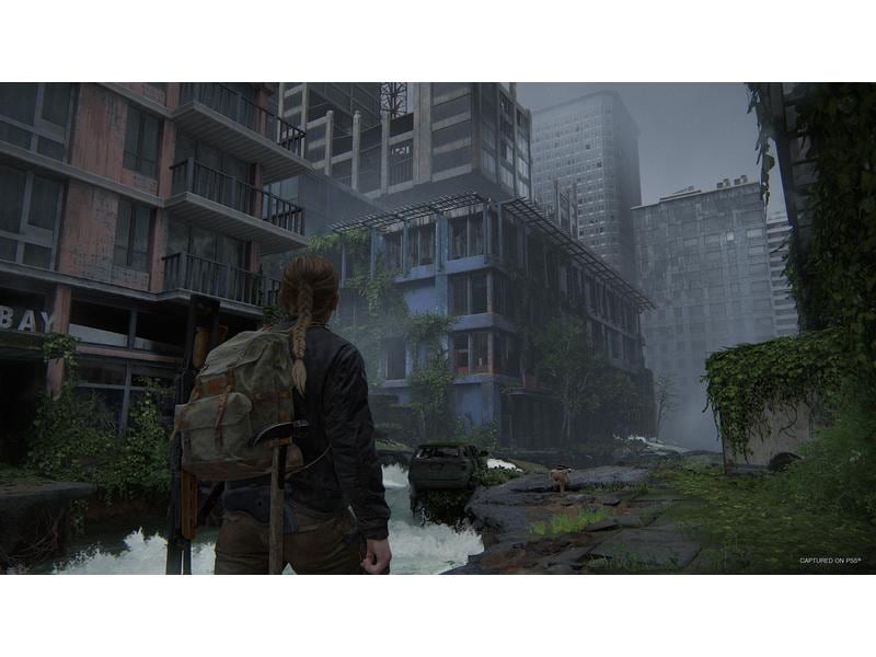 Sony The Last of Us Part II