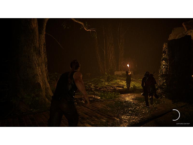 Sony The Last of Us Part II