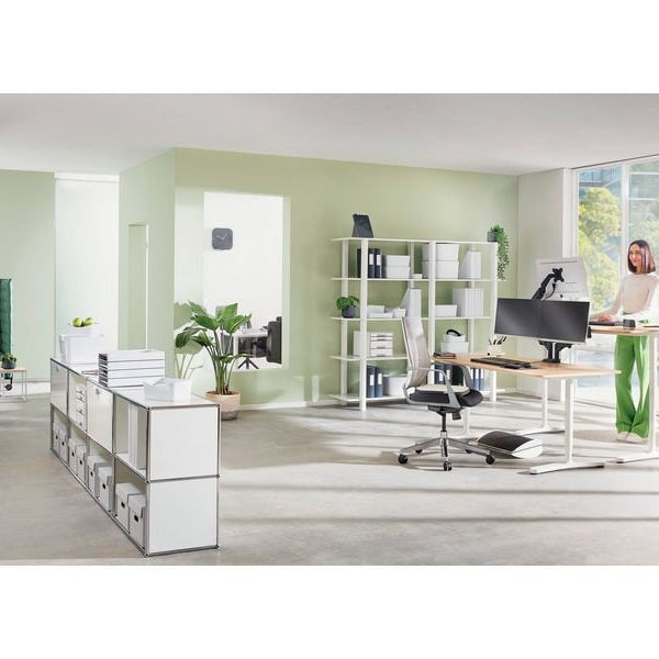 Leitz Ergo Single Monitorarm