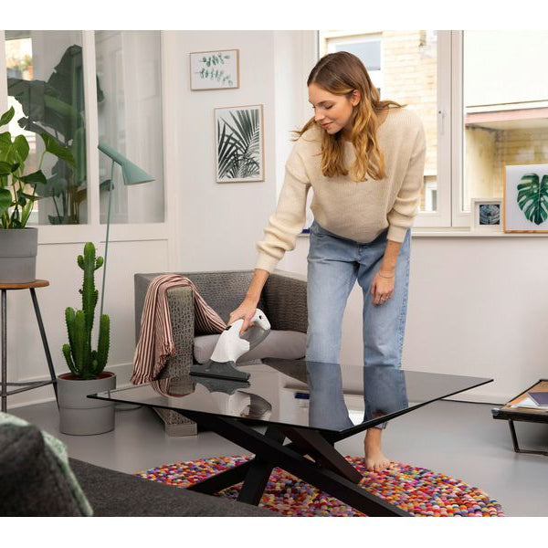 Kärcher Fenstersauger WV 1 Weiss