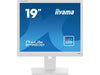 iiyama Monitor Prolite B1980D-W5 19 