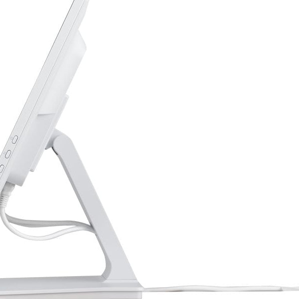 iiyama Monitor ProLite T2452MSC-W1