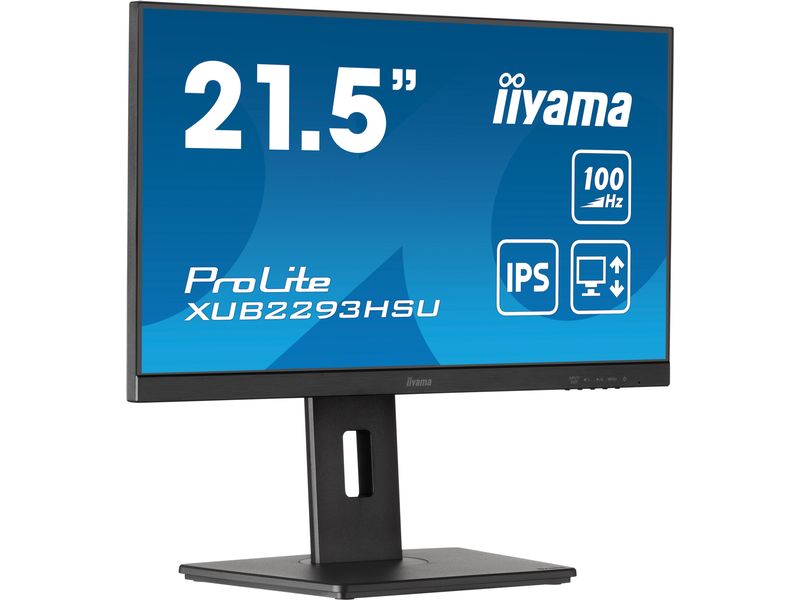 iiyama Monitor ProLite XUB2293HSU-B6 21.5 "