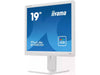 iiyama Monitor Prolite B1980D-W5 19 