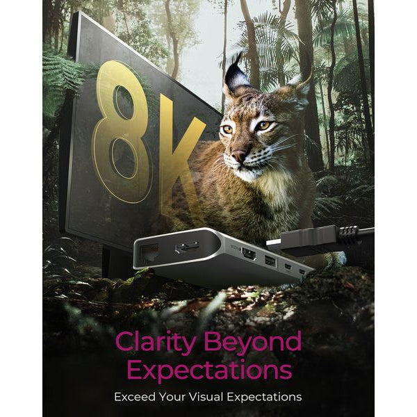 ICY BOX Dockingstation 12-in-1  USB Type-C IB-DK4061-CPD