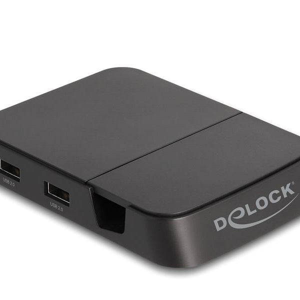 Delock Dockingstation 4K mit integrierter Halterung