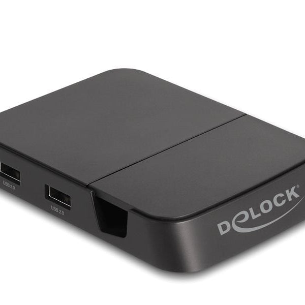 Delock Dockingstation 4K mit integrierter Halterung