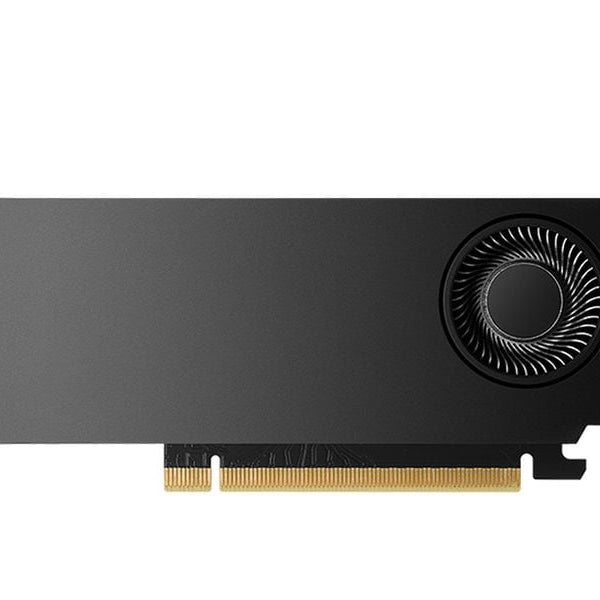 PNY Grafikkarte NVIDIA RTX 2000 Ada Generation 16 GB